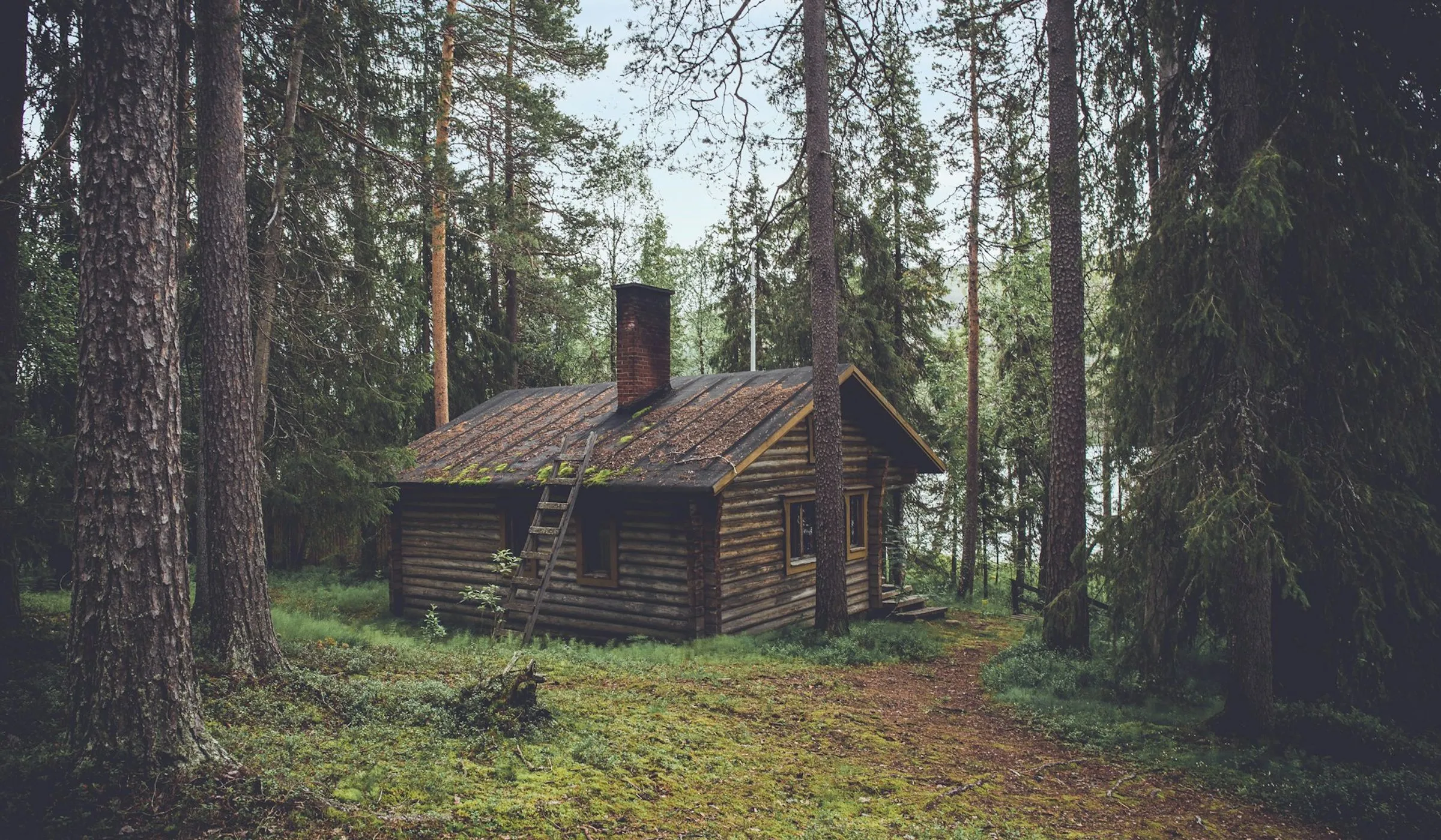Luxusní vila v lese